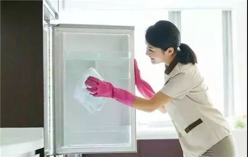我區生活性服務業職業技能大賽獲獎名單出爐