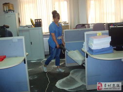 蒙城家政公司,蒙城保潔,蒙城搬運(yùn)工,有需要的電聯(lián)系
